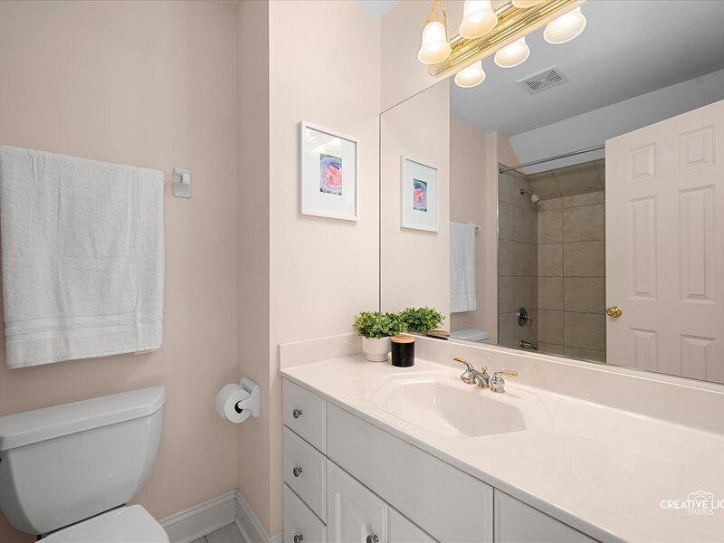 455 Flock Avenue Naperville IL 60565