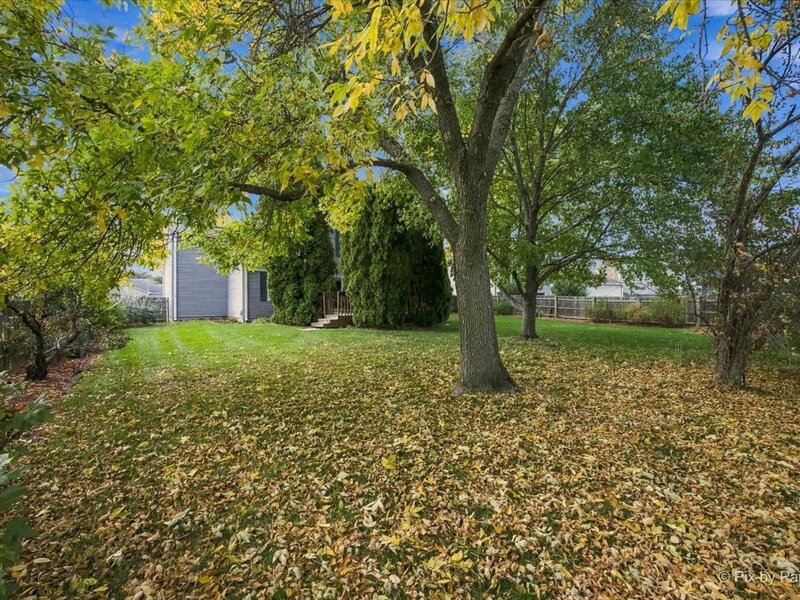 1253 Evergreen Drive Carol Stream IL 60188