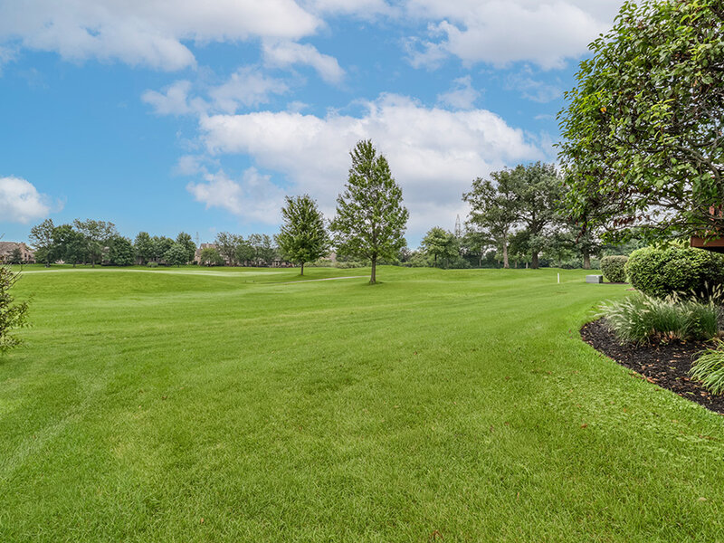54 Long Cove Drive Lemont IL 60439