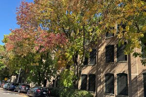 Photo of 5235 N Ravenswood Avenue Chicago IL 60640 Unit 11