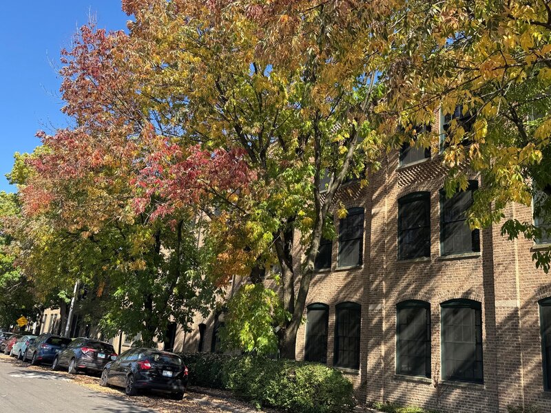 5235 N Ravenswood Avenue Chicago IL 60640