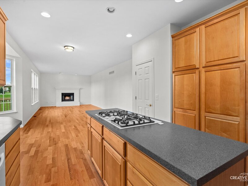 1703 Hidden Oaks Court Plainfield IL 60586