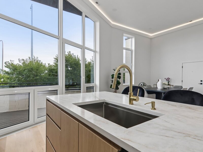 1656 N Bosworth Avenue Chicago IL 60642