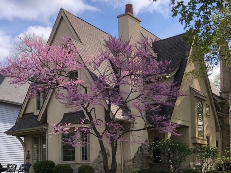 706 N Ellsworth Street Naperville IL 60563