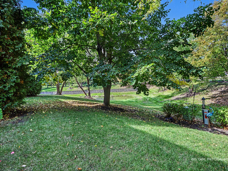 1192 Pensacola Court Aurora IL 60502