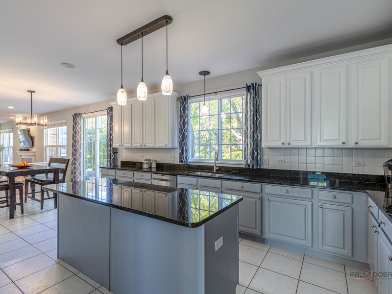 568 Crooked Stick Court Vernon Hills IL 60061