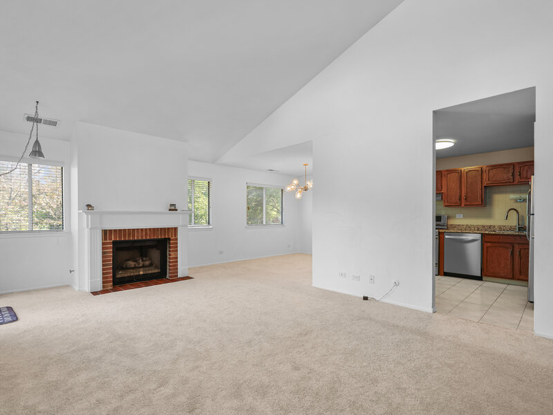 607 Eastview Court Schaumburg IL 60194