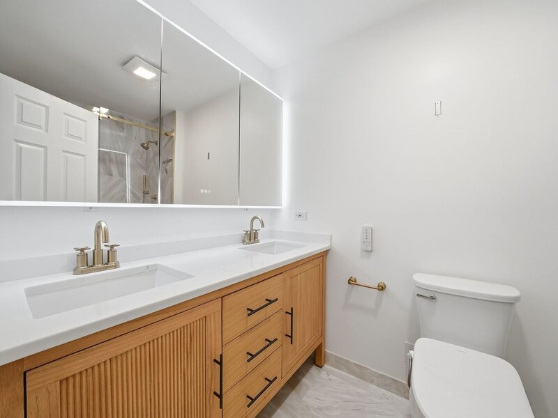 3645 W Cornelia Avenue Chicago IL 60618