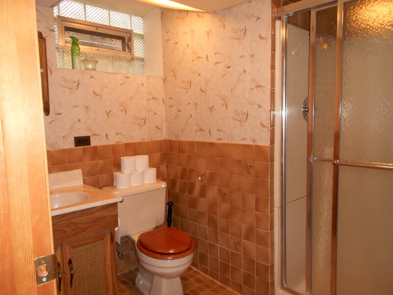 8339 S Kenneth Avenue Chicago IL 60652