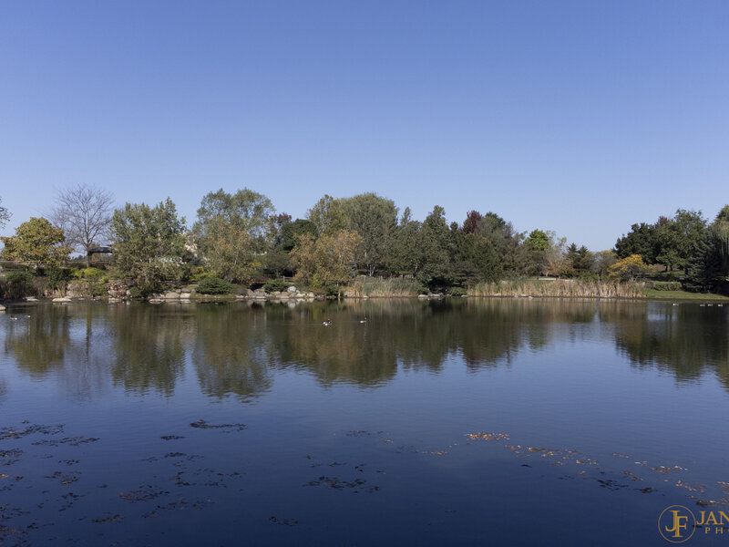 6740 Linden Trail Wonder Lake IL 60097