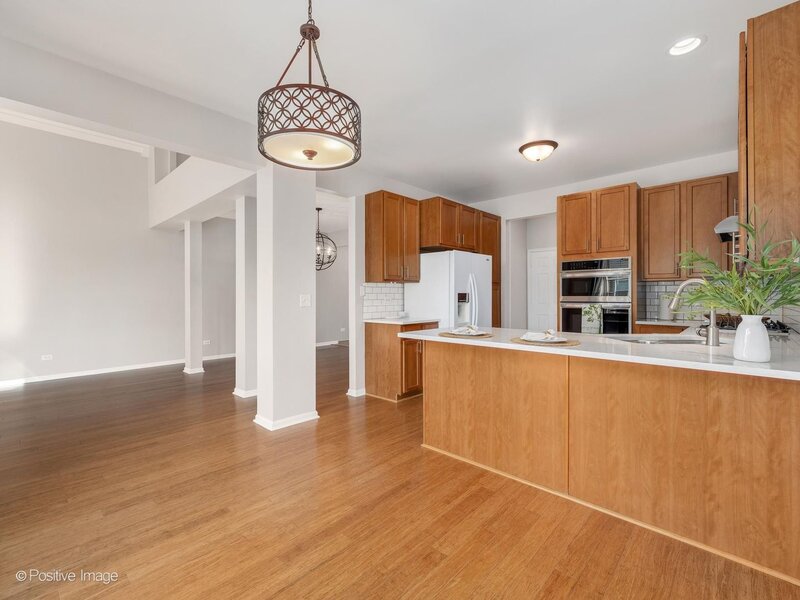 13371 Ash Court Palos Heights IL 60463