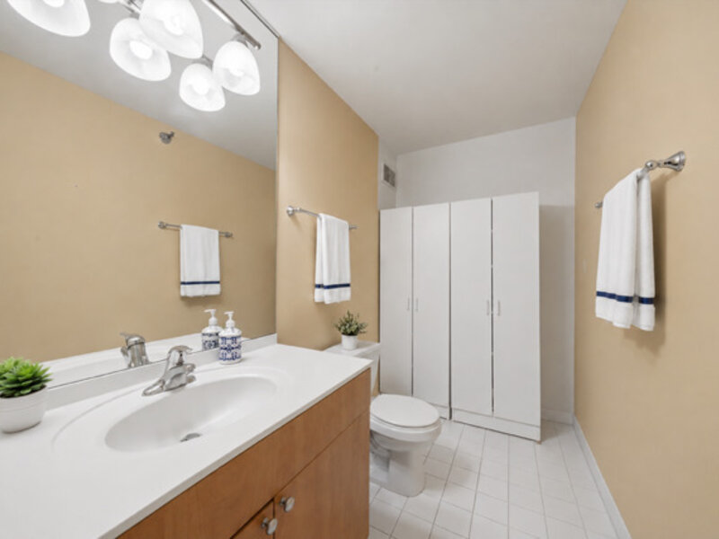 474 N Lake Shore Drive Chicago IL 60611