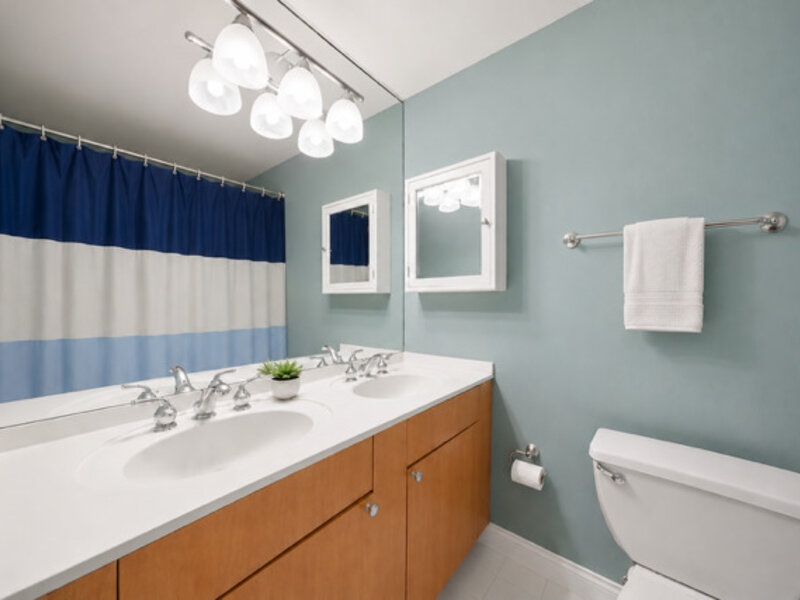 474 N Lake Shore Drive Chicago IL 60611