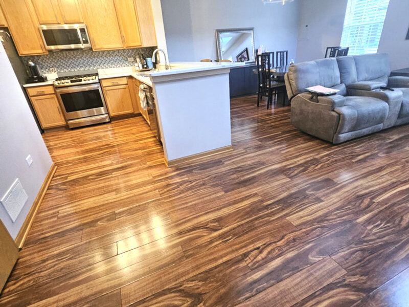 363 S Litchfield Drive Round Lake IL 60073