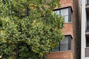 Photo of 929 N Damen Avenue Chicago IL 60622 Unit 3