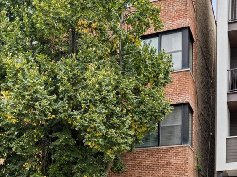 929 N Damen Avenue Chicago IL 60622