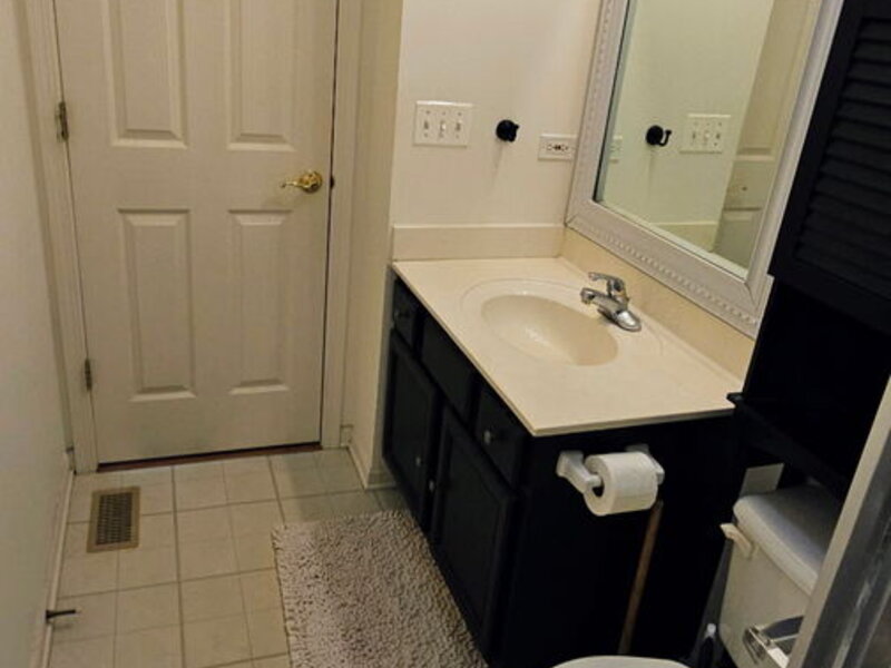 425 N Carlisle Court Round Lake IL 60073