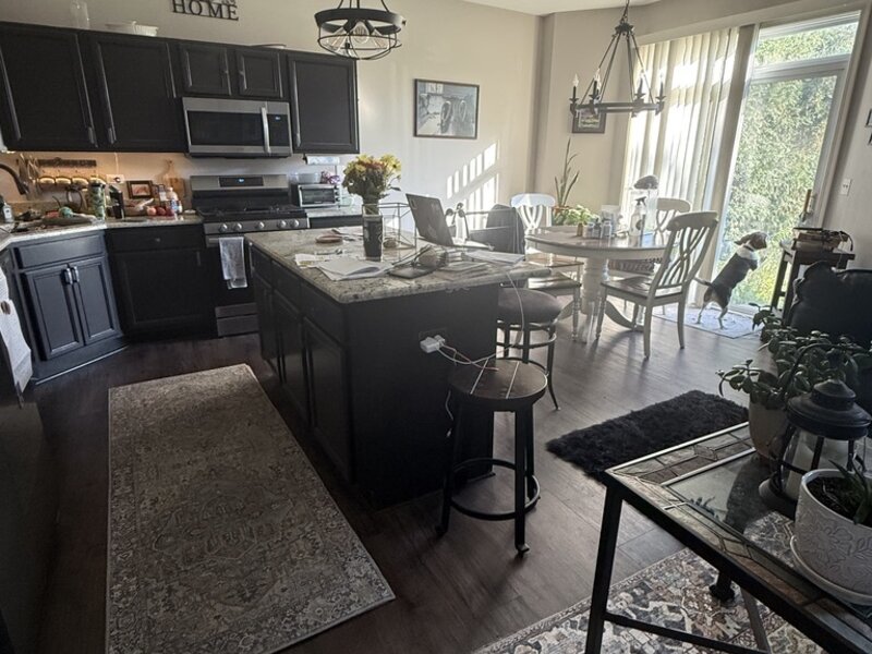 425 N Carlisle Court Round Lake IL 60073