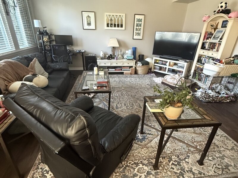 425 N Carlisle Court Round Lake IL 60073