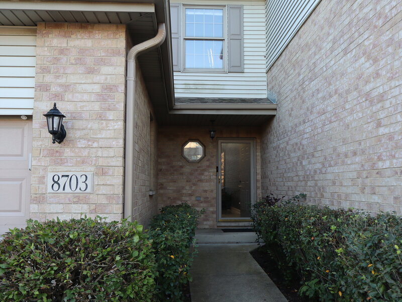 8703 Powers Court Orland Park IL 60462