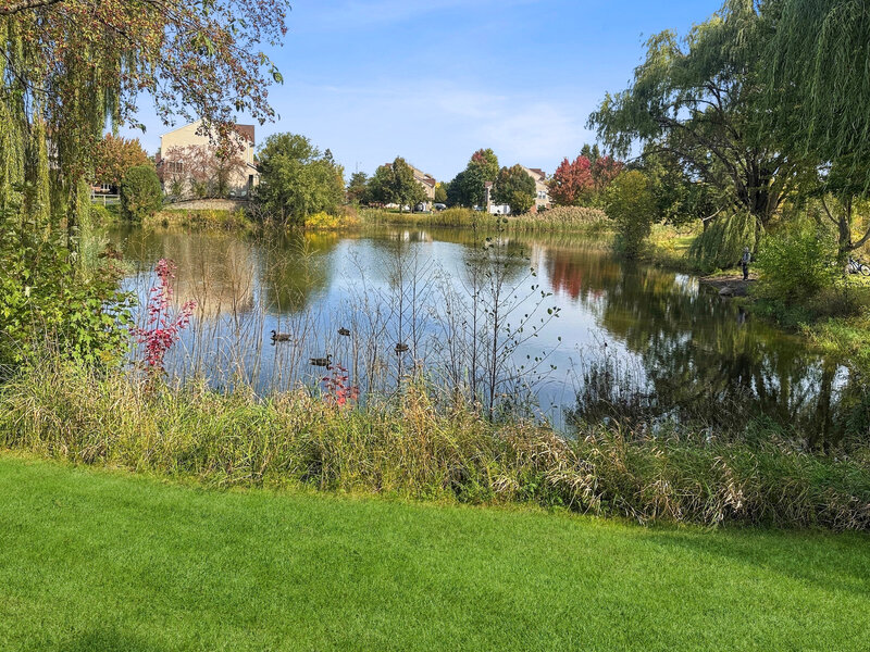 1071 Ellsworth Drive Grayslake IL 60030