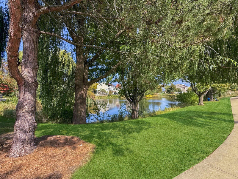 1071 Ellsworth Drive Grayslake IL 60030