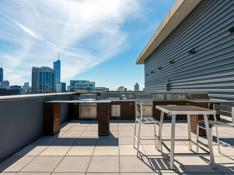 600 N Lake Shore Drive Chicago IL 60611