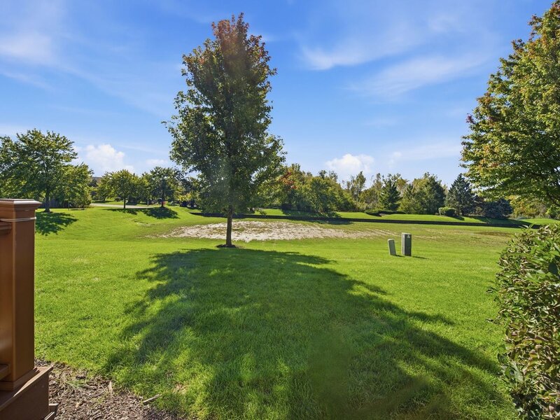 1169 Amber Drive Lemont IL 60439