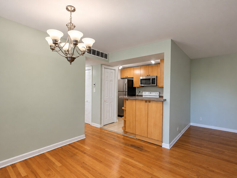 10115 Old Orchard Court Skokie IL 60076