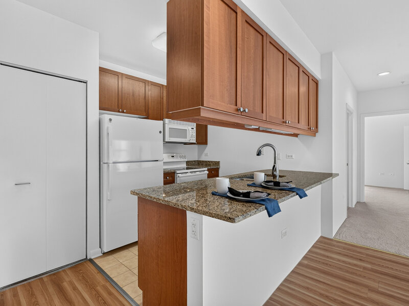 1572 Maple Avenue Evanston IL 60201