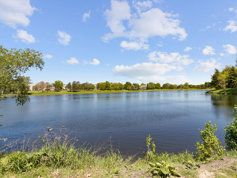 2034 Stanley Court Schaumburg IL 60194